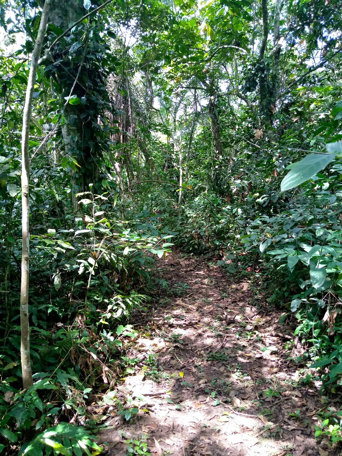 Natural landscape of Chakig