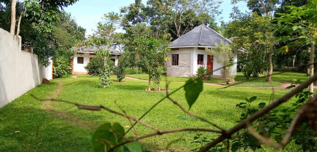 Visitor taking nature photos