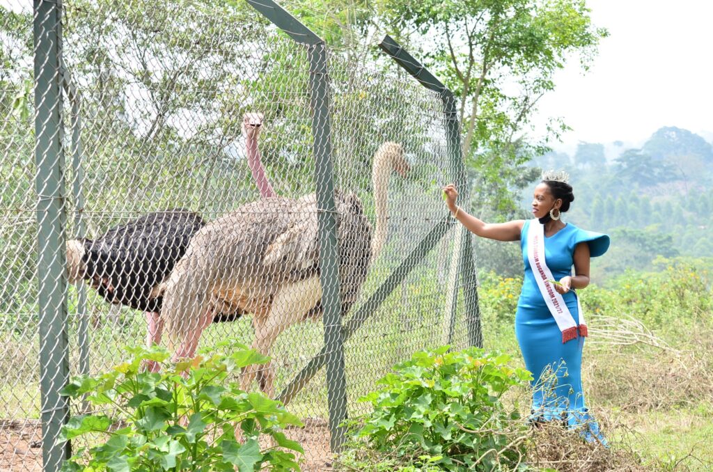 Bird Species at Chakig Eco-tourism Centre