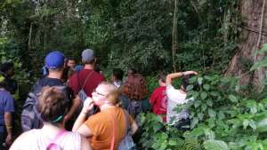 Nature Walk